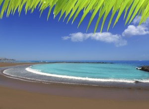 Adeje coast Las americas Beach in south Tenerife at Canary Islands