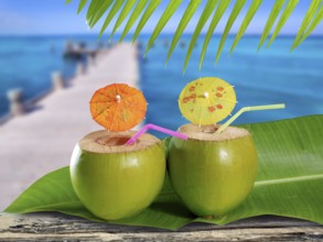 Coconut straw cocktails in tropical caribbean sea pier