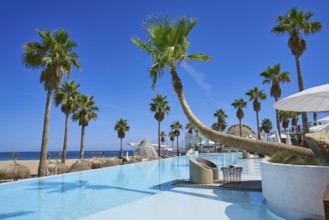 Vacations resort with pool and palm trees in Mediterranean beach