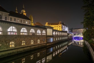Iconic building of the central market in Ljubljana illuminated at night, the bridge of Preseren