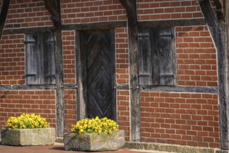 Detail of a brick wall with wooden framework elements and two flower boxes with yellow flowers,