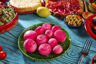 Tapas pickles onion red vinegar from Spain and Mediterranean