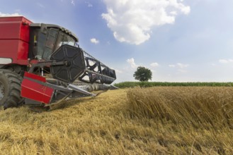 Combine harvesting a wheat field. Combine working the field