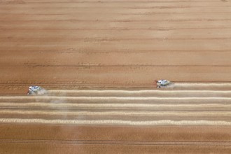 Combine harvester working on a wheat field. Combine harvester Aerial view
