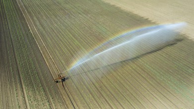 Irrigation equipment watering field. Aerial view. Irrigation of a young plants
