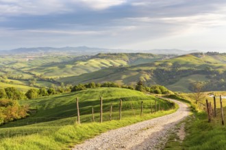 Rural view of the valley with a rolling landscape and a dirt road in Tuscany, Italy, Europe
