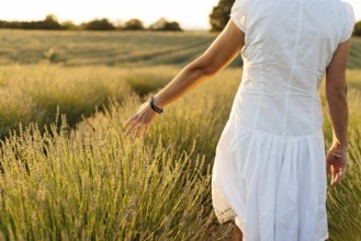 Beautiful woman in a white dress walks in the lavender field