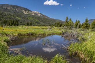 Never Summer Ranch Trail-29.jpg
