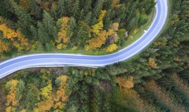 Road through the forest, top view, from a bird's eye view of a quadcopter