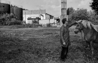 Germany, Trinwillershagen, 16.9.1991, old LPG plant, horse in the Walter_Ulbricht_Vorzeigedorf