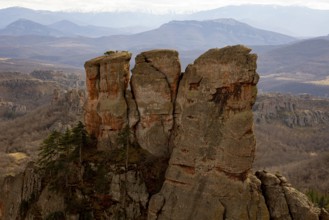 The Belogradchik Rocks are a group of strangely shaped sandstone and conglomerate rock formations