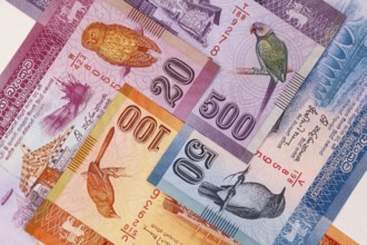 The symmetrical composition of Sri Lankan banknotes. Rupee, the national currency of Sri Lanka