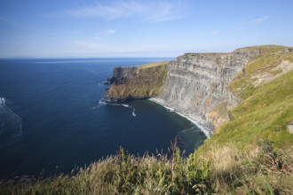 The famous Cliffs of Moher are sea cliffs located at the southwestern edge of the Burren region in