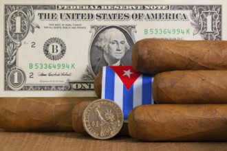 Luxury Cuban cigars with US dollar banknote and coin on the wooden table