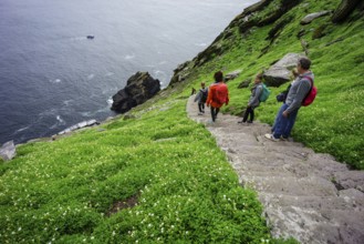 Visitors on the steep path up to the monastery, Skellig Michael island, Mainistir Fhionáin (St.