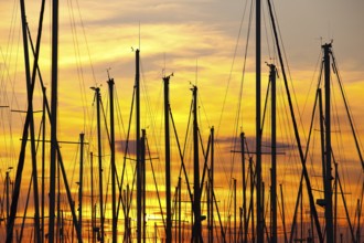 Sunset in the harbor, Marseille, France, Europe