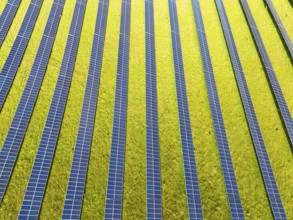 Photovoltaic Solar Panels in Green Field in Portugal. Aerial View