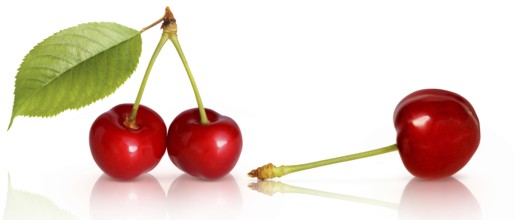 Fruit 702