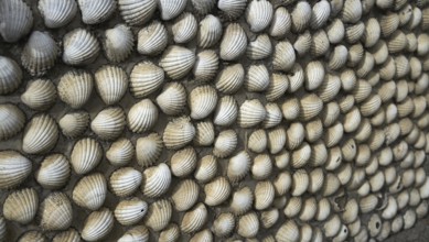 Tazones shells facades of Asturias in Spain