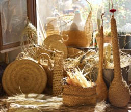 Esparto halfah grass used for crafts as cords basketry and espadrilles