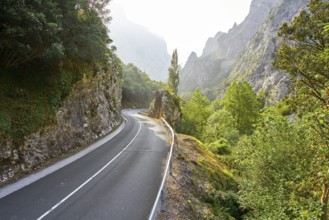 N-621 road near Deva river in Cantabria of Spain