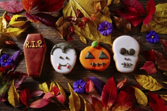 Halloween sweets biscuits pumpkin skull vampire and tomb shapes