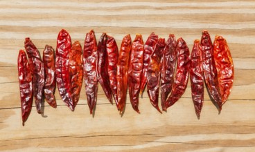 Chile de arbol seco dried hot Arbol pepper on wooden background