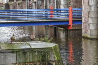 Two ducks on a platform on the water, bridge in the background, Amsterdam, Netherlands