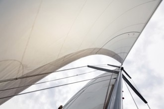 An image of a Sailing boat sails background