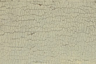 Abstract closeup surface view of old paint cracked on a wall