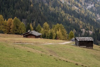 Wooden travel cabin tourist houses outdoor in the hill. Alpe di siusi Seiser alm Italy