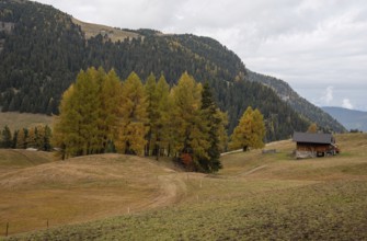 Wooden travel cabin tourist houses outdoor in the hill. Alpe di siusi Seiser alm Italy
