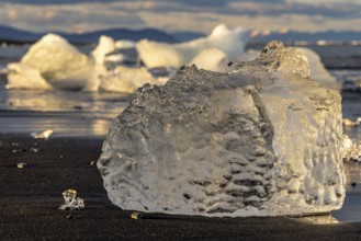 Evening at Diamond beach, Jökulsarln, south coast, Iceland, Europe