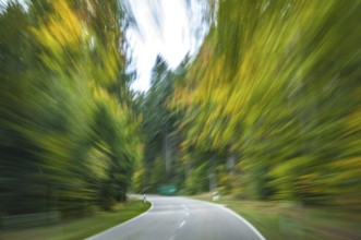 Speed on the street with autumnal surroundings and colourful leaves. Motion on the street in autumn