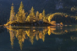 Lake Eibsee with a small island near mountain Zugspitze in south germany in fall