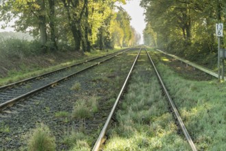 Train tracks stretching into the distance on a sunny autumn day, surrounded by lush green trees
