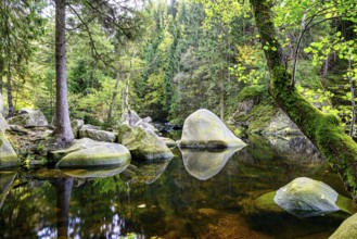A peaceful scene with large stones in the river bed of the Engagement island in the Oker in the