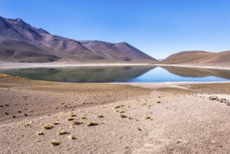 Lagunas Altiplanicas, Miscanti y Miniques, amazing view at Atacama Desert. Chile, South America
