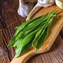 Fresh and tasty wild garlic
