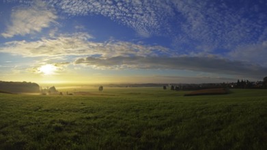 Morning atmosphere in the Altshausener Ried