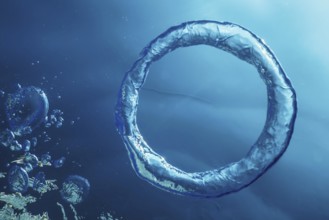 Bubble Ring Underwater, Ring Bubble