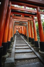 Red Tori Gate at Fushimi Inari Shrine in Kyoto, Japan. One of the largest tourist attractions in