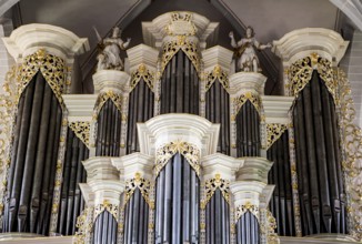 The baroque organ of the Catholic parish church of St. Johannes Baptist, Borgentreich, Höxter