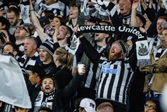 MELBOURNE, AUSTRALIA, MAY 24: Fans as Newcastle United play A-League All Stars Men during the