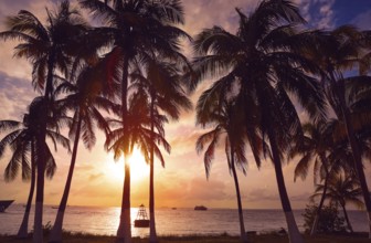 Isla Mujeres island Caribbean beach sunset palm trees Riviera Maya in Mexico