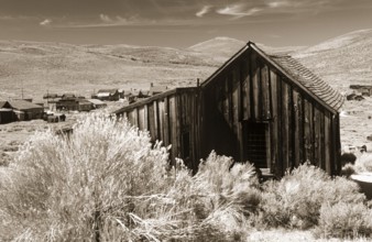 Old wooden shed in Bodie, behind it grassy hills of the prairie. Photo in sepia tone. Old wooden