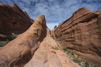 Arches National Park, Utah, USA, North America