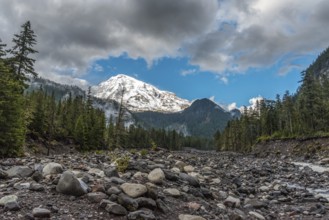 Great view on Mt Rainier from Nisqually river, USA, North America