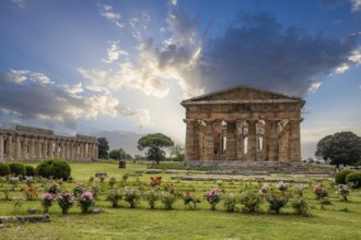 Beautiful old historical centre with ruins. Evening sunshine and the Temple of Athena in Paestum,
