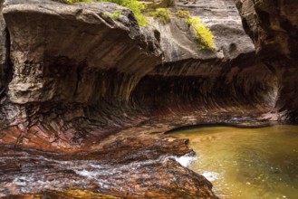 Magnificent Subway gorge landmark in the Zion National Park in Utah, USA, North America